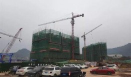 云城最新爆料,揭秘神秘项目背后的惊人真相